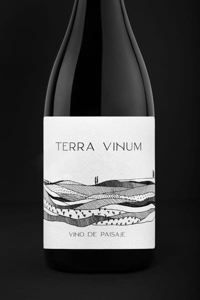 TERRA VINUM. Primer vino del proyecto Origen - Innovación