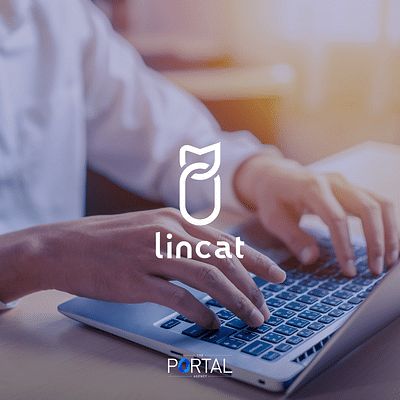 Lincat - Webseitengestaltung