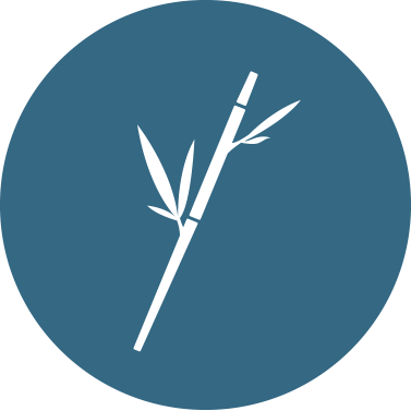 Bamboo Consulting GmbH