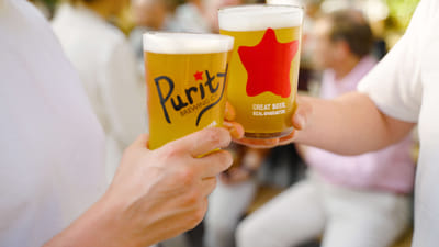 Purity Brewing Co - Digital Strategy
