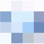 Concordis Language Services logo