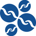 Romotur Basque DMC & Tours