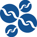 Romotur Basque DMC & Tours