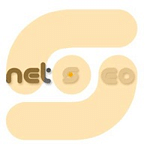 Net Seo logo