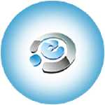 Embark Solutions LLC
