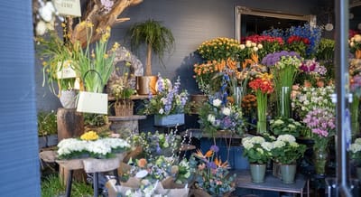 Floral Haven - Digital Strategy