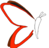 Elegant Infotech