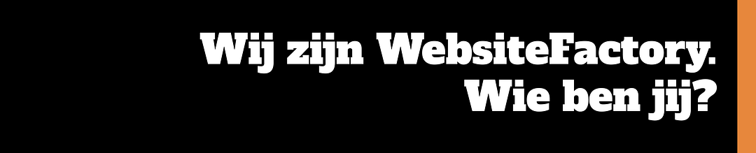 WebsiteFactory cover