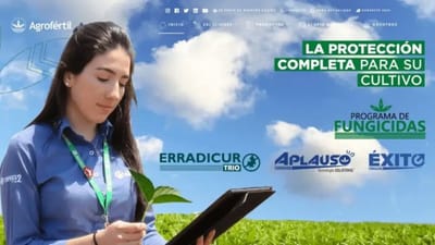 Seguridad web avanzada - Création de site internet