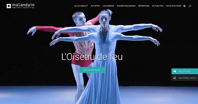 Refonte du site web Ballets Malandain - Email Marketing