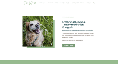 Webdesign & Blog - Webseitengestaltung