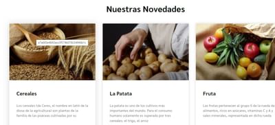 Frutas Bermejo. Distribución  B2B - Webseitengestaltung