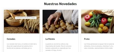 Frutas Bermejo. Distribución  B2B - Creación de Sitios Web