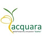 Acquara Management Consultant