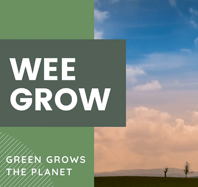 WEE GROW - Stratégie de contenu