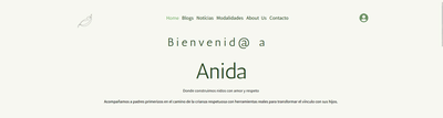 Anida Website - SEO