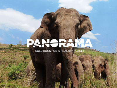 Panorama Solutions - UX/UI Design e Sviluppo Web - Creazione di siti web