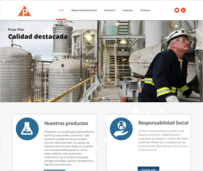 Diseño web Proar Pilar - Website Creation