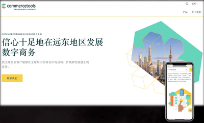 CommerceTools Marketing Strategy in China - Réseaux sociaux