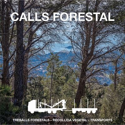 Logotipo Calls Forestal - Identidad Gráfica