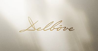 Delbove - Rebranding - Image de marque & branding