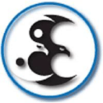Elite Computing, LLC