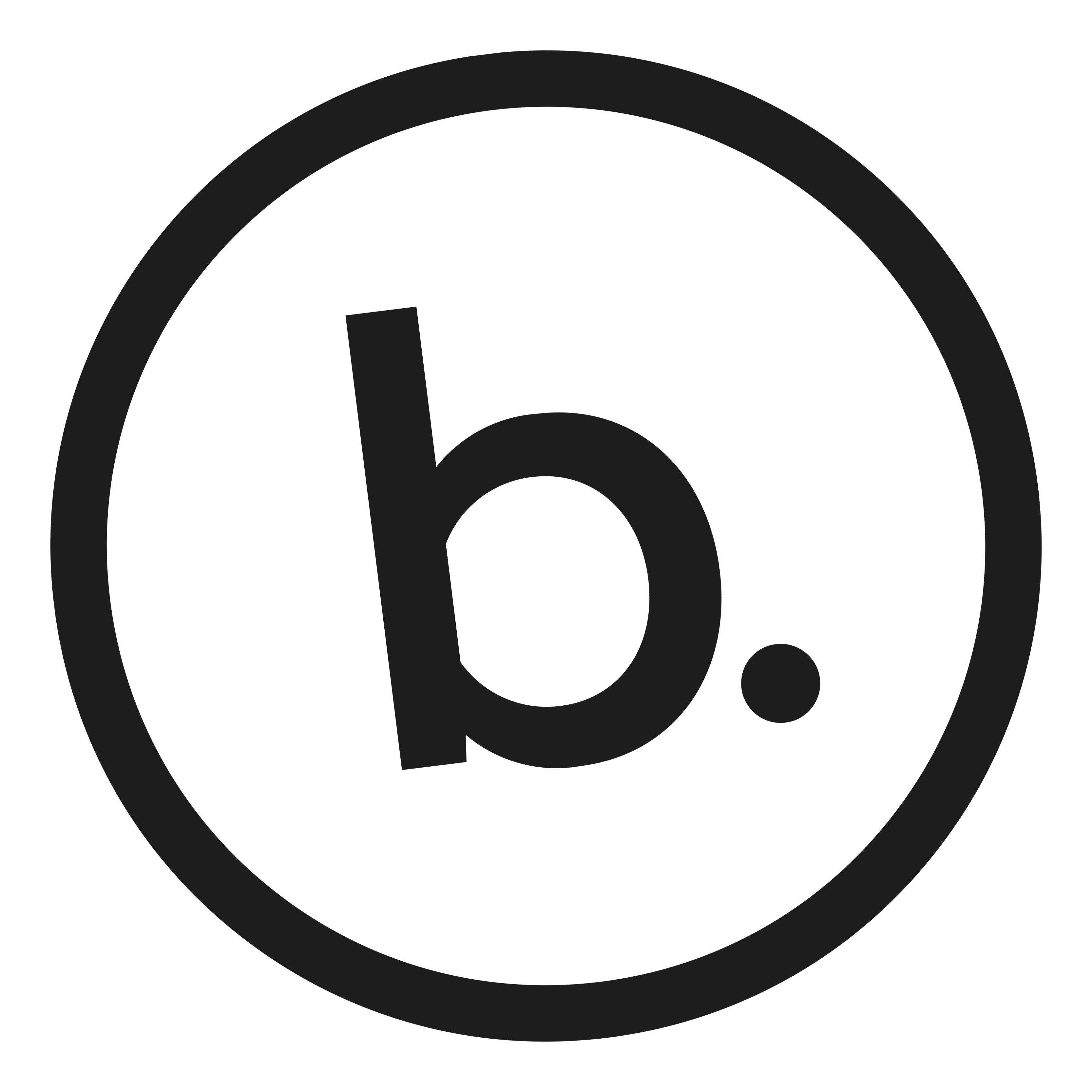 BeeldBlinkers