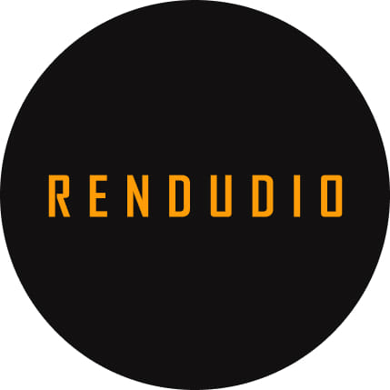 Rendudio Web Design & Branding agency