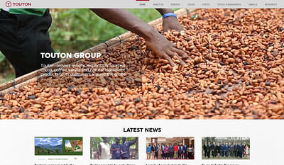 Site web / emailings : Touton Group - Email Marketing
