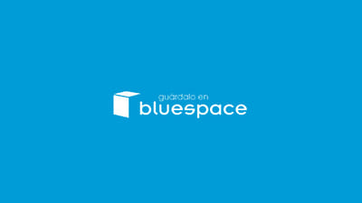 Asesoría SEO y SEM de Bluespace - Référencement naturel