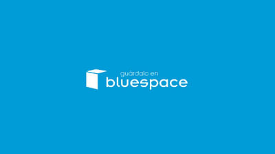 Asesoría SEO y SEM de Bluespace - SEO