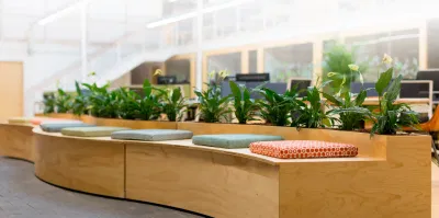 Diseño y desarrollo web para Fundación Biodiversidad - Creación de Sitios Web