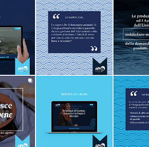 SOCIAL MEDIA | Gestione canali social | API - Réseaux sociaux