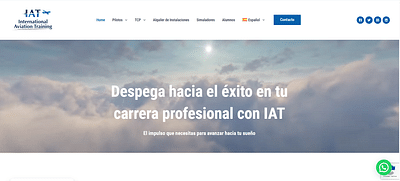 IAT - Online Advertising