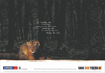 SIX MONTHS OLD - Advertising