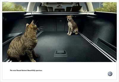 DOG/CAT - Werbung