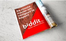 Biddit - or how to sell houses online - Estrategia de contenidos