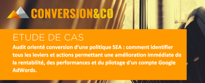 Audit SEA orienté conversion - Online Advertising
