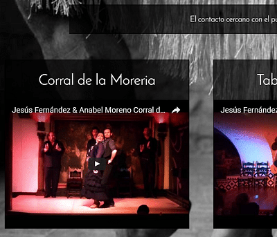 Página web oficial artista flamenco - Creación de Sitios Web