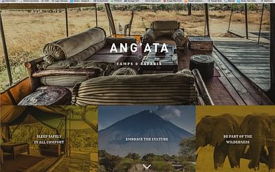 Luxury Camps in Tanzania - Website Creatie