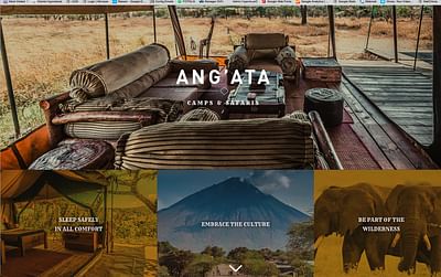 Luxury Camps in Tanzania - Création de site internet