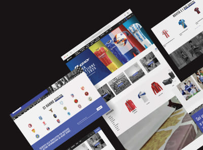 E-Commerce Ready Sport - E-Commerce