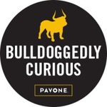Pavone logo