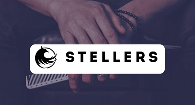Webshop en Branding Stellers - Website Creation