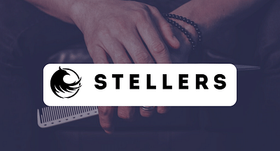 Webshop en Branding Stellers - E-commerce