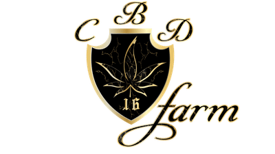 Création logo Professionnel - Website Creation