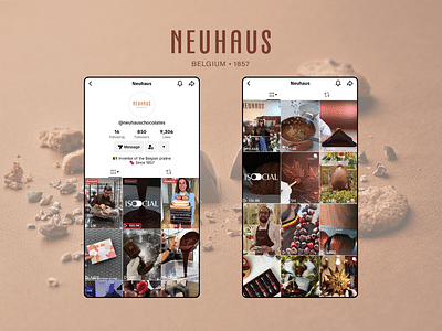 Neuhaus TikTok Project - Social media