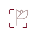 The Posh Group Agency