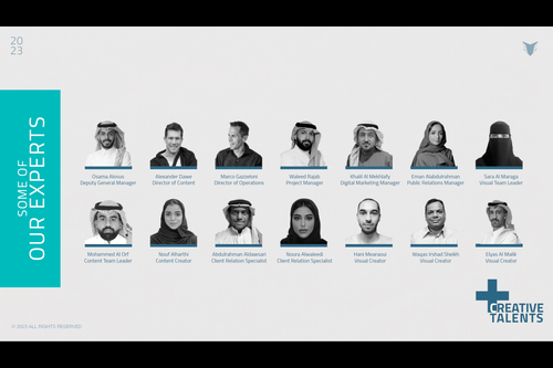 Wolfhead Agency cover