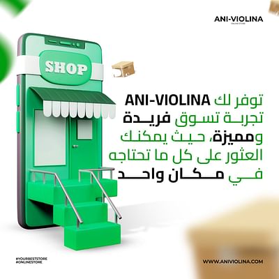 AniViolina - Marketing